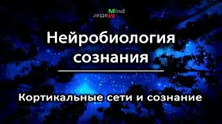 [4] ПЕРЕЗАЛИВ. Нейробиология сознания. Кортикальные сети и сознание