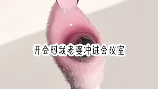 （别样富豪)精彩小说推荐。女生必看。全文知~乎。
