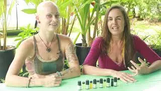 Everything you need to know about Davana Essential Oil!