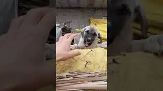 TEHLİKELİ OYUNLAR
