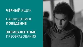 Чёрный ящик, наблюдаемое поведение и эквивалетные трансформации