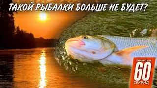 Такой рыбалки уже не будет в этом году!