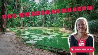Immerse yourself in the fascinating world of the Museu da Amazônia - Manaus highlights