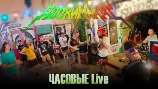 ЯДОХИМИКАТ - Злая собака (Часовые Live Open Air)