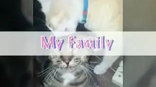 Cat....Love รักกันสองพี่น้อง เสือใหญ่กับเสือน้อย