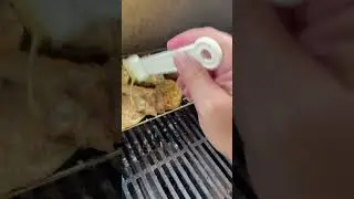 Sounds from the grill - Chicken and Salmon