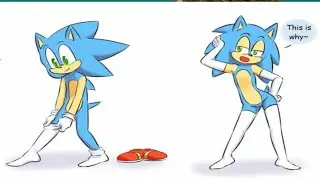 only Sonic (the hedgehog) fans will find it funny | things only Sonic fans find funny the hedgehog​
