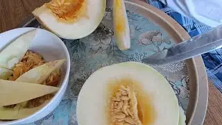 Турецкая Белая Дыня
