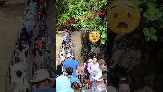 THAILAND | PHI PHI ISLANDS