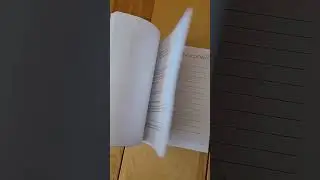 Práctica Positiva • Book Flip-Through