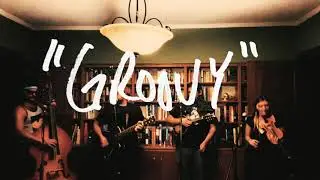 The Wild Honey Collective - Groovy - Live at Dan's Library