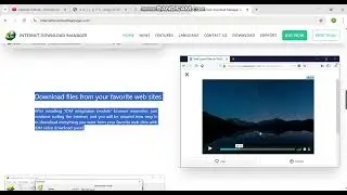 Internet Download Manager (IDM) 6.42 Build 63 Crack  + Serial Key [Activated]