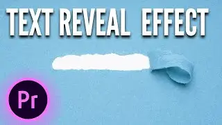 How to Create a Text Reveal with Vertical Line in Premiere Pro  2023 | Premiere Pro Tutorials