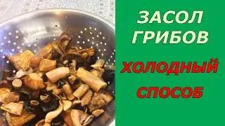 Солёные грибы холодным способом/ Как солить грибы 🍄