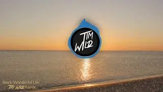 Black - Wonderful Life (Tim Wild Remix)