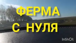 Восстановление запущено!