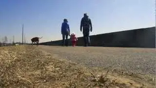 Ari Walking.mov
