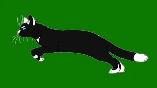 Хромакей Кот бежит