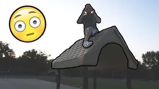 THE MOST INSANE THING I'VE DONE!!!