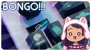 MY KEYBOARD HAS A BONGO CAT || EVO70