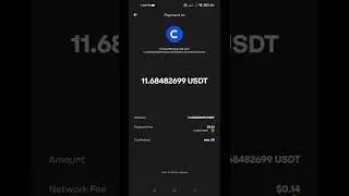 Recuperar usdt enviado a Binance-Peg BSC-USD (AYUDA?)