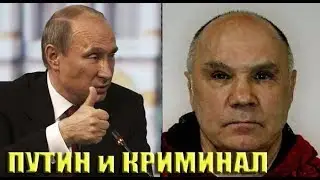 «Бригада», ОПГ Путина. Путинизм как он есть. 
