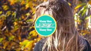 LEMOSKY - Whomsy Waves