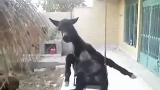 В ожидании отпуска...