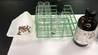 Types of Reaction Lab: Reaction 1. Copper + Silver Nitrate