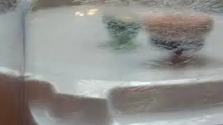 Обзор на ЧО ЗЕТ Спрайзена