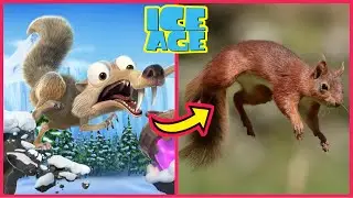 Ice Age IN REAL LIFE