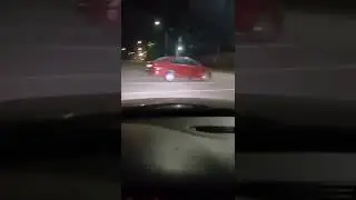 Медведь бежит по дороге в Колодищах Минского района.