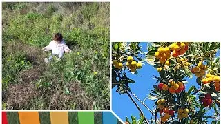 سلام بنات بغيت نشارك معكم واحد جولة رائعة في إحدى الجبال في مدينة نابولي