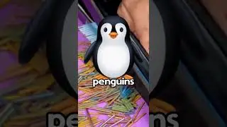 Bros going crazy