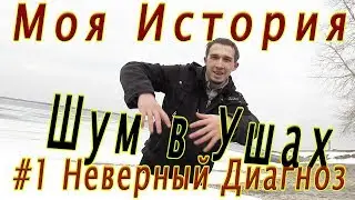 Оправдание - Почему не выходят Видео? Или Моя история: Шум в Ушах