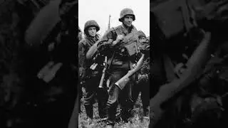 Дивизия СС Недерланд  #history #германия #история   #ww2 #война #вторая  #факты #новости  #cc