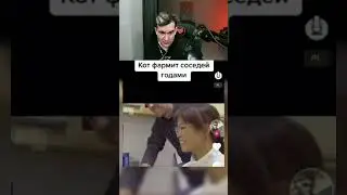 Кот вор и Братишкин 