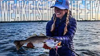 Fly Fishing for Her First WEAKFISH aka SEA TROUT