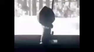 рыыыыг