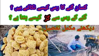 How Jaggery is made from sugarcane juice | Gurr Kesay Banta hai|