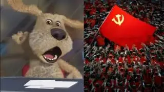 Бен выбирает место жительства. Бен оценивает страны мем