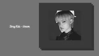 Stray Kids - Venom {slowed + reverb}