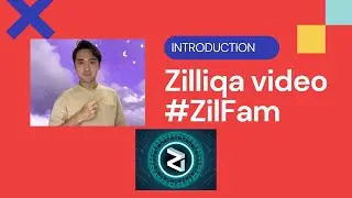 Zilliqa - Intro #Zilfam