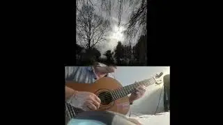 Haiku Trio