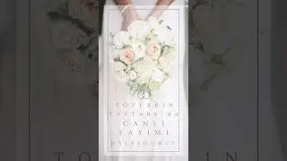 YouTube Live