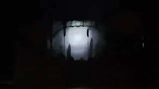 лягушка фантазерка по пьесе Татьяны Рик