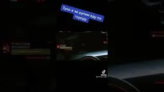 Тупо мармок за рулём едет по городу