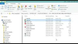 COMO SALVAR UMA TABELA NUM ARQUIVO E REALIZAR CONSULTAS - DELPHI 10.3