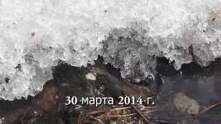 30 марта 2014
