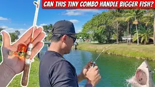 Mini Fishing Rod Catches Peacock Bass!!!